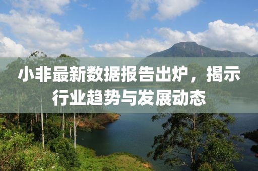 小非最新数据报告出炉，揭示行业趋势与发展动态