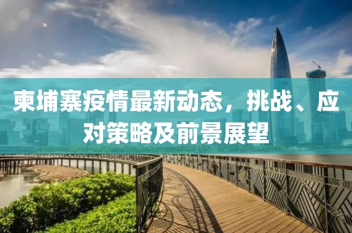 柬埔寨疫情最新动态，挑战、应对策略及前景展望