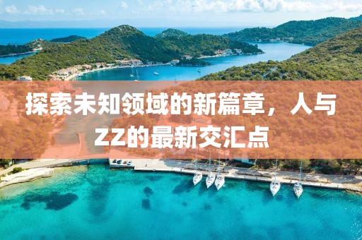 探索未知领域的新篇章，人与ZZ的最新交汇点