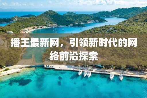 播王最新网，引领新时代的网络前沿探索