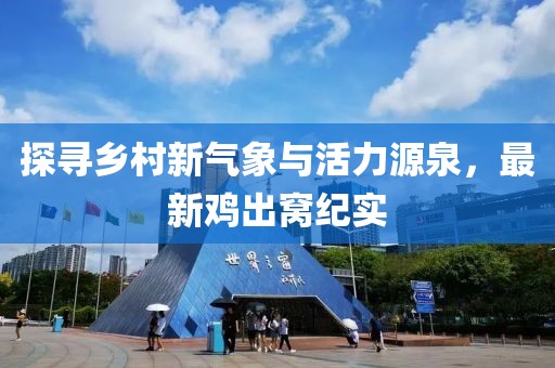 探寻乡村新气象与活力源泉，最新鸡出窝纪实