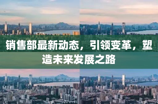 销售部最新动态，引领变革，塑造未来发展之路