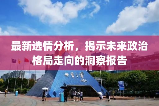最新选情分析，揭示未来政治格局走向的洞察报告