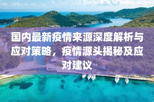 国内最新疫情来源深度解析与应对策略，疫情源头揭秘及应对建议