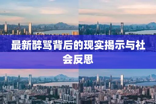 最新醉骂背后的现实揭示与社会反思
