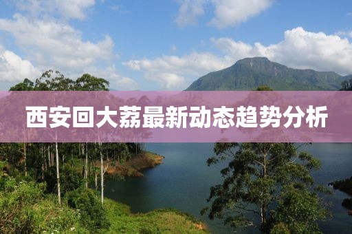西安回大荔最新动态趋势分析