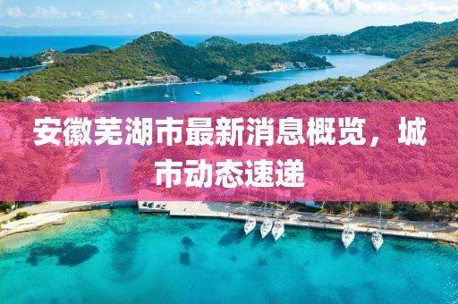 安徽芜湖市最新消息概览，城市动态速递