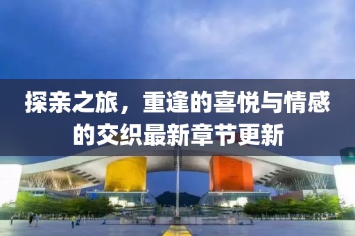 探亲之旅，重逢的喜悦与情感的交织最新章节更新