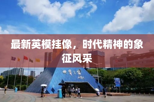 最新英模挂像，时代精神的象征风采