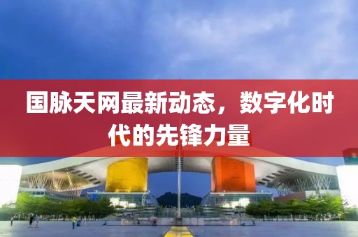 国脉天网最新动态，数字化时代的先锋力量