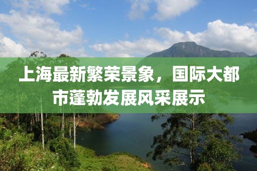 上海最新繁荣景象，国际大都市蓬勃发展风采展示