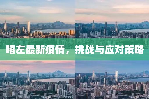喀左最新疫情，挑战与应对策略