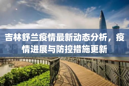 吉林舒兰疫情最新动态分析，疫情进展与防控措施更新