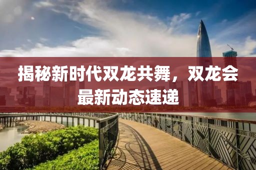 揭秘新时代双龙共舞，双龙会最新动态速递