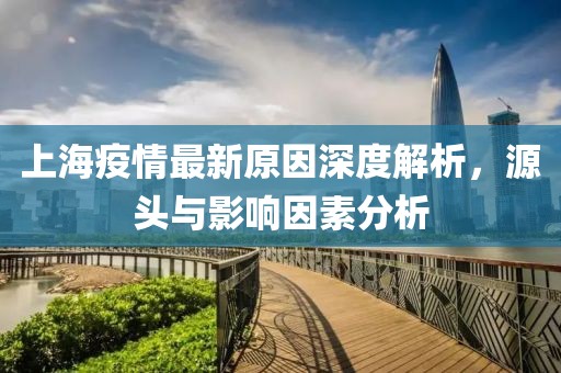 上海疫情最新原因深度解析，源头与影响因素分析