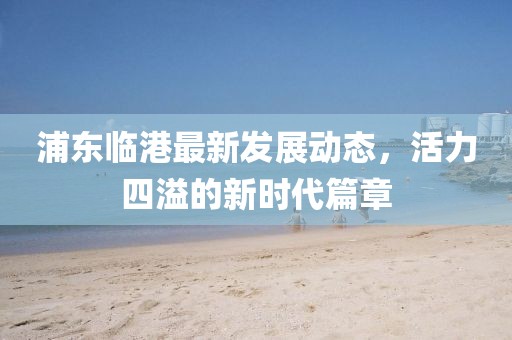 浦东临港最新发展动态，活力四溢的新时代篇章