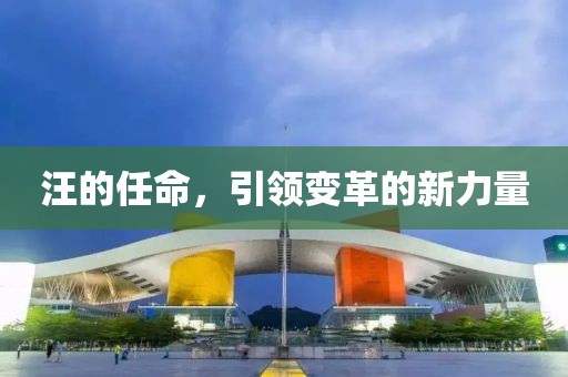 汪的任命，引领变革的新力量