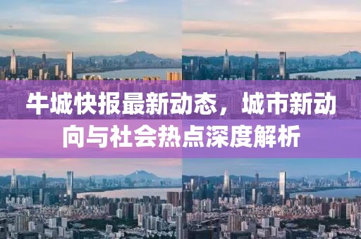 牛城快报最新动态，城市新动向与社会热点深度解析