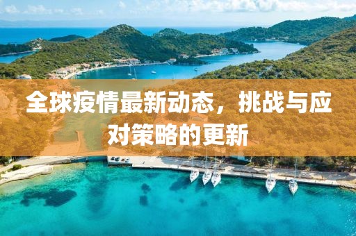全球疫情最新动态，挑战与应对策略的更新