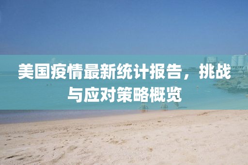 美国疫情最新统计报告，挑战与应对策略概览