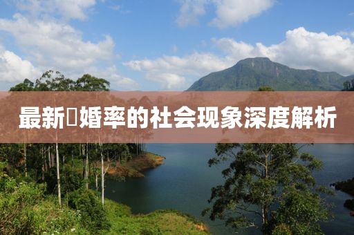 最新離婚率的社会现象深度解析