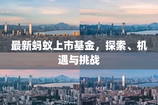 最新蚂蚁上市基金，探索、机遇与挑战