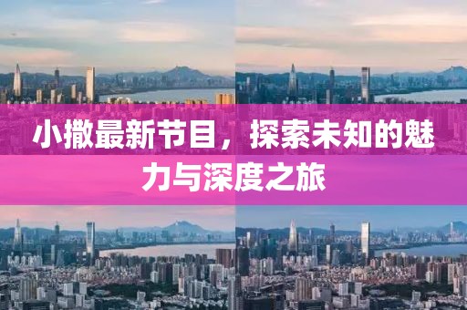 小撒最新节目，探索未知的魅力与深度之旅