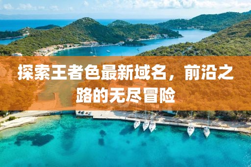 探索王者色最新域名，前沿之路的无尽冒险