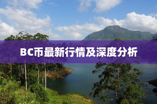 BC币最新行情及深度分析