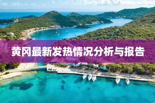 黄冈最新发热情况分析与报告