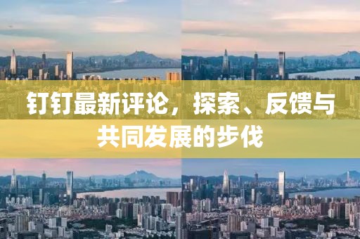 钉钉最新评论，探索、反馈与共同发展的步伐