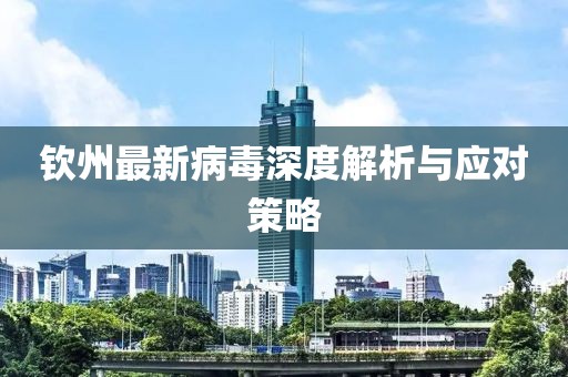 钦州最新病毒深度解析与应对策略
