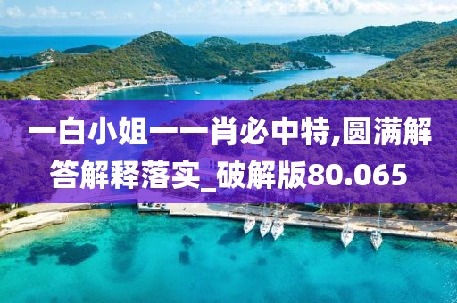 一白小姐一一肖必中特,圆满解答解释落实_破解版80.065
