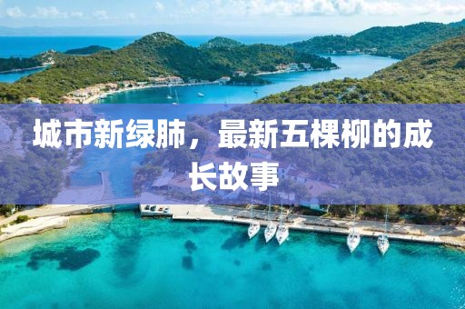 城市新绿肺，最新五棵柳的成长故事