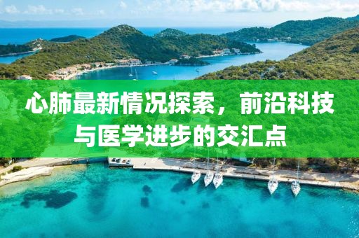 心肺最新情况探索，前沿科技与医学进步的交汇点