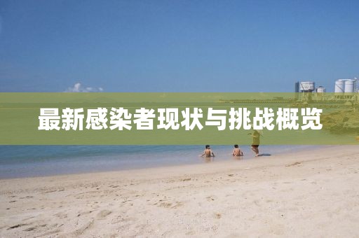 最新感染者现状与挑战概览
