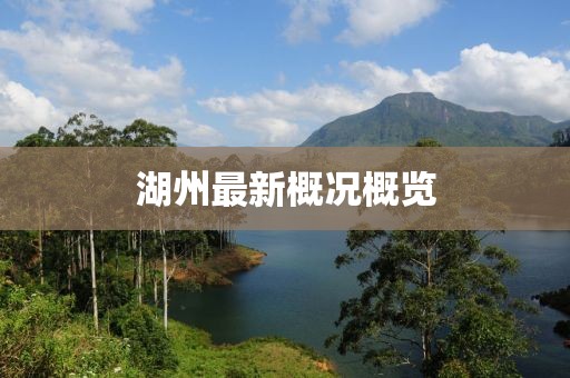 湖州最新概况概览