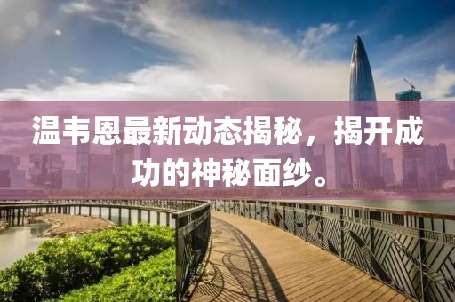 温韦恩最新动态揭秘，揭开成功的神秘面纱。