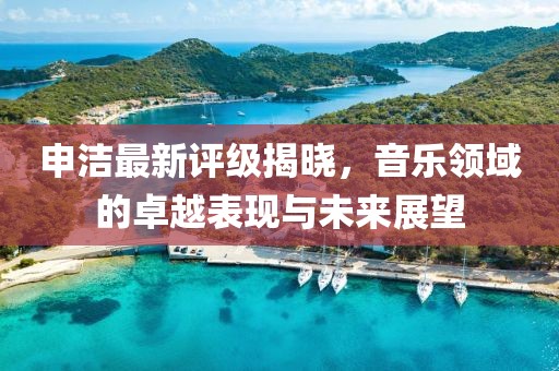 申洁最新评级揭晓，音乐领域的卓越表现与未来展望