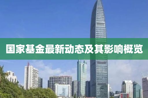 国家基金最新动态及其影响概览