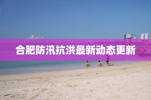 合肥防汛抗洪最新动态更新