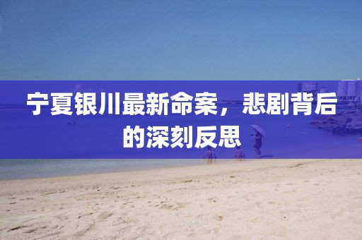 宁夏银川最新命案，悲剧背后的深刻反思