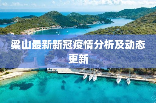 梁山最新新冠疫情分析及动态更新