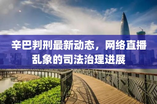 辛巴判刑最新动态，网络直播乱象的司法治理进展
