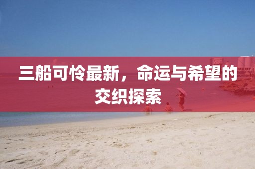 三船可怜最新，命运与希望的交织探索