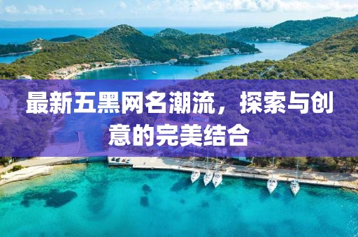 最新五黑网名潮流，探索与创意的完美结合