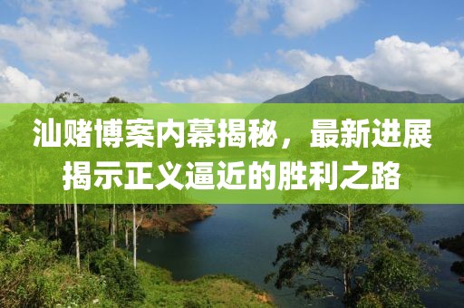 汕赌博案内幕揭秘，最新进展揭示正义逼近的胜利之路