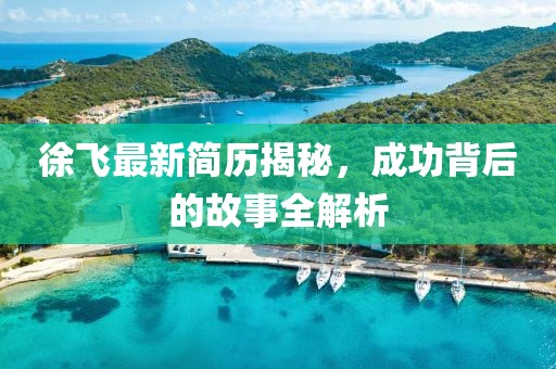 徐飞最新简历揭秘，成功背后的故事全解析