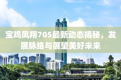 宝鸡凤翔705最新动态揭秘，发展脉络与展望美好未来