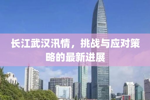 长江武汉汛情，挑战与应对策略的最新进展